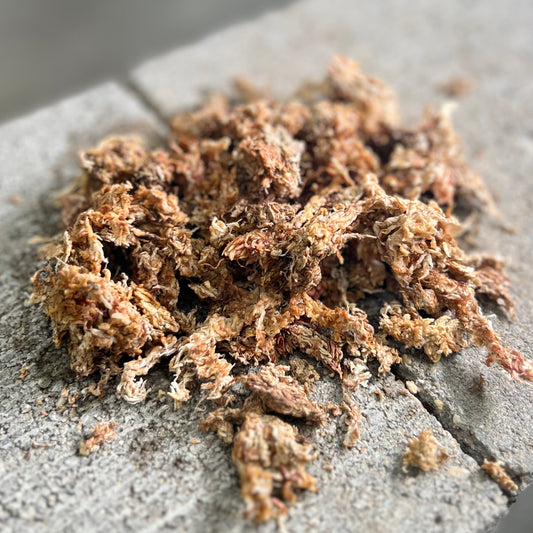 LeafLabs Ultra Premium Sphagnum Moss