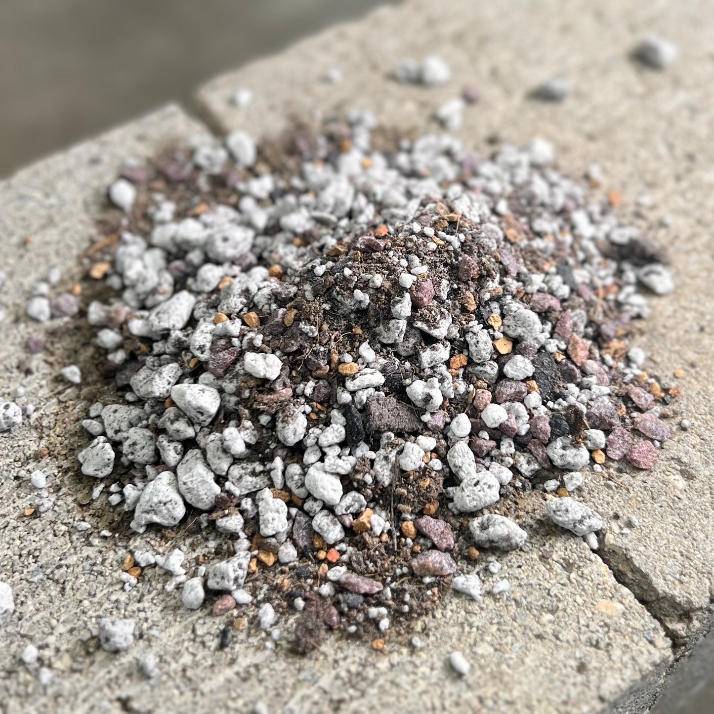 LeafLabs Cactus and Succulent Mix - Extra Gritty