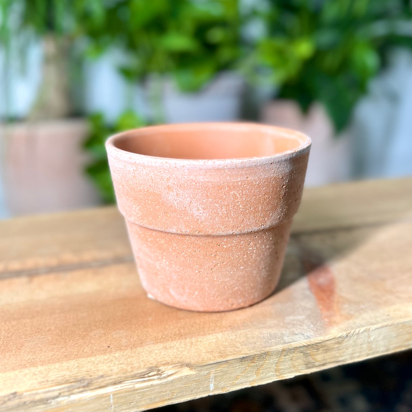 Siena Pot Terracotta