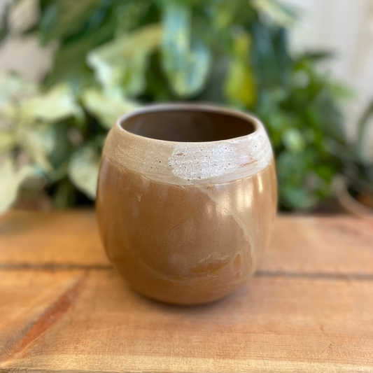 Acorn Pot