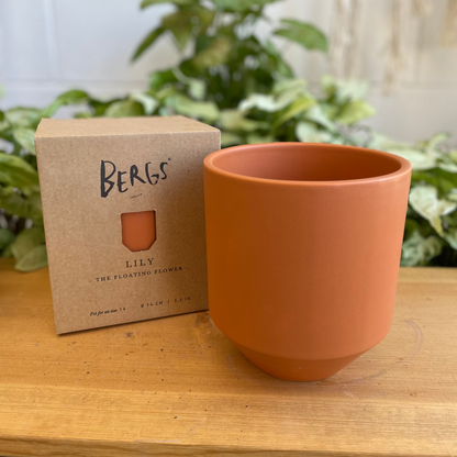 Bergs Lily Pot
