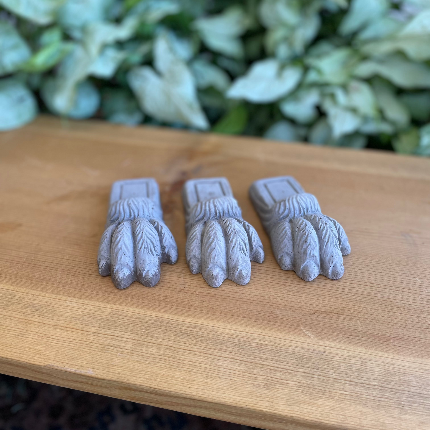 Bergs Lion Paw Feet Set