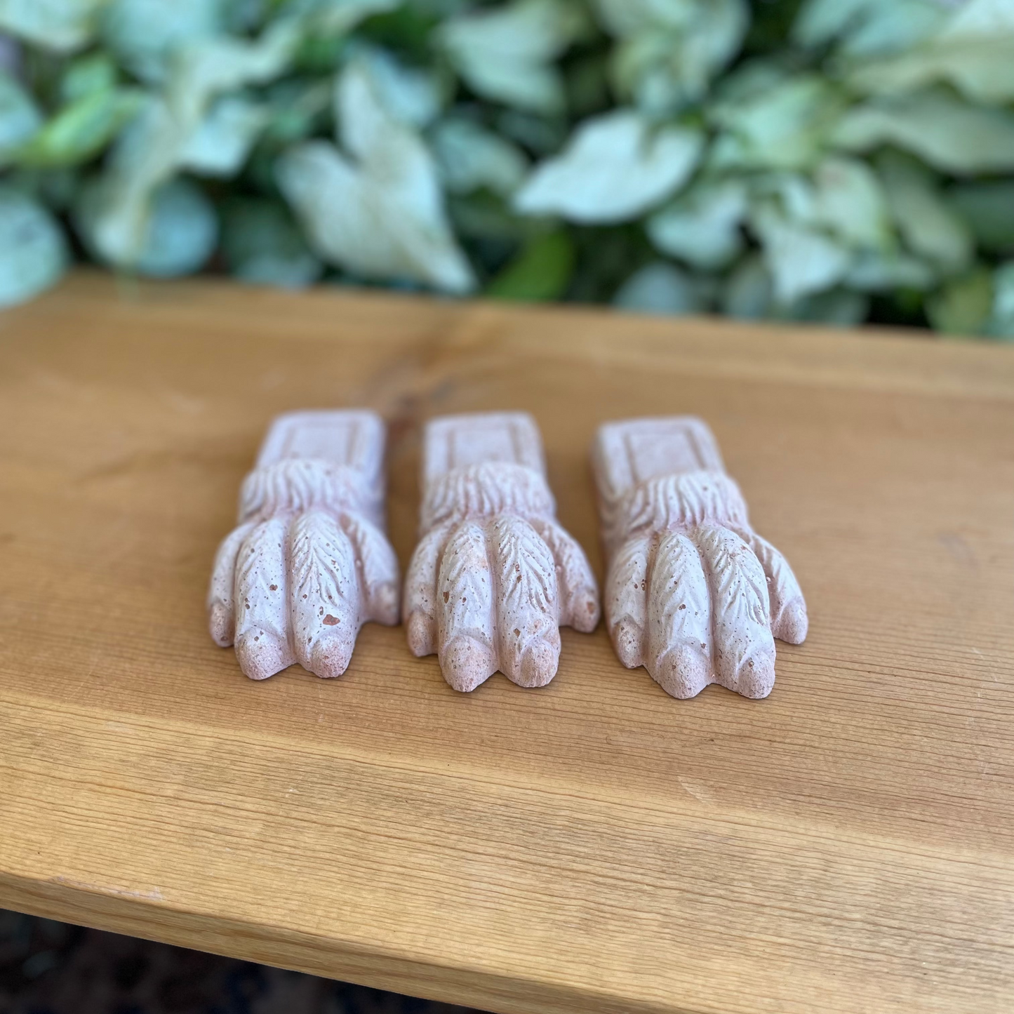 Bergs Lion Paw Feet Set