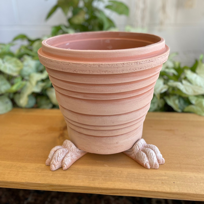 Bergs Lion Paw Feet Set