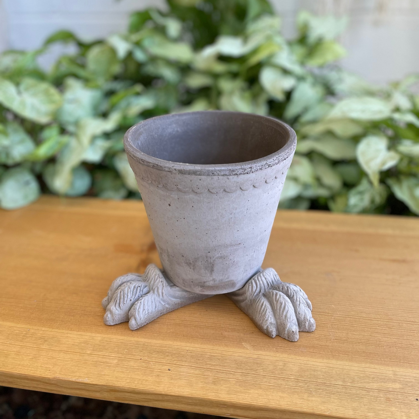 Bergs Lion Paw Feet Set