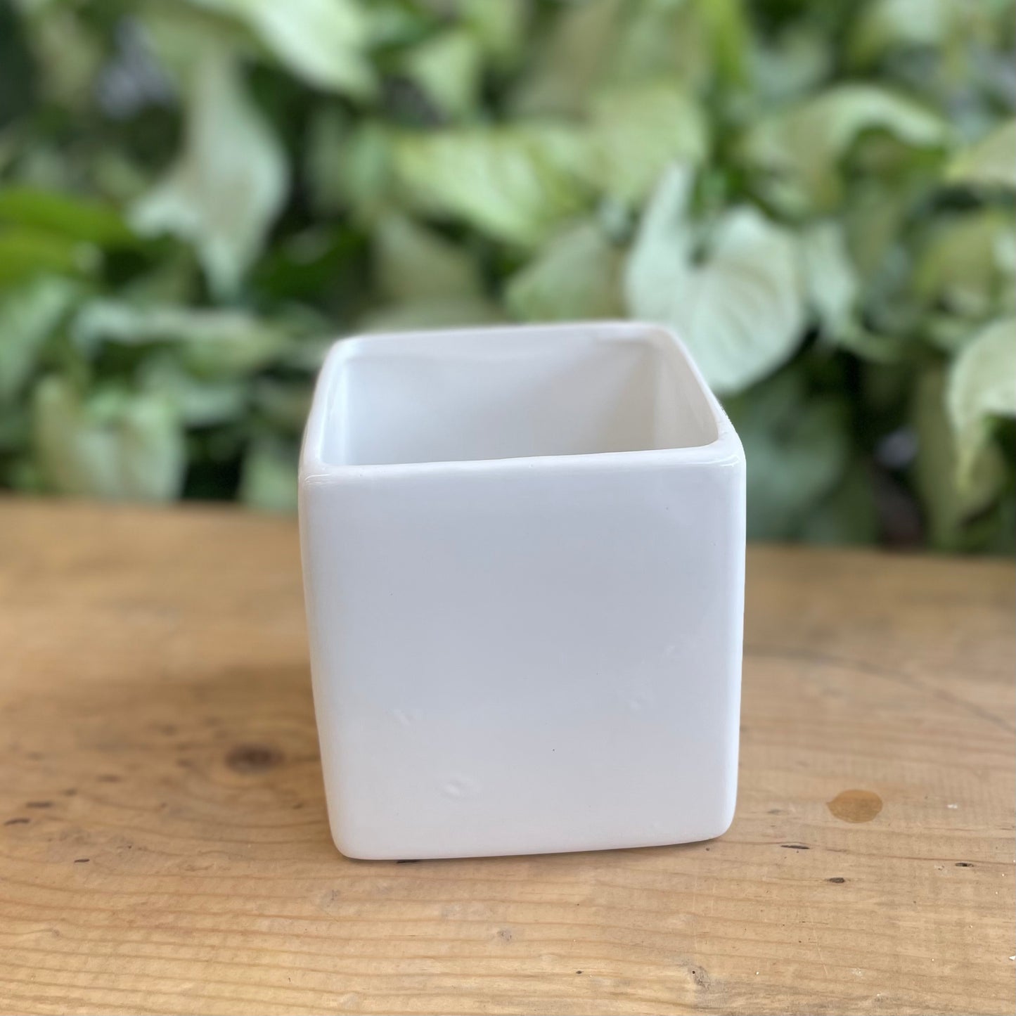 Blanc Cube Pot