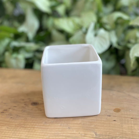 Blanc Cube Pot