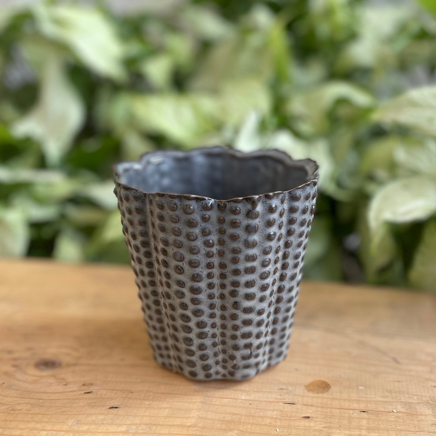 Slate Pebble Pot