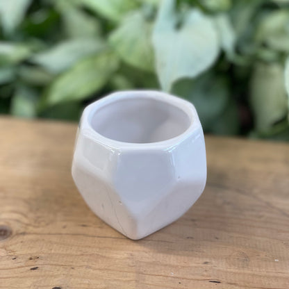 Geo Mini Pot