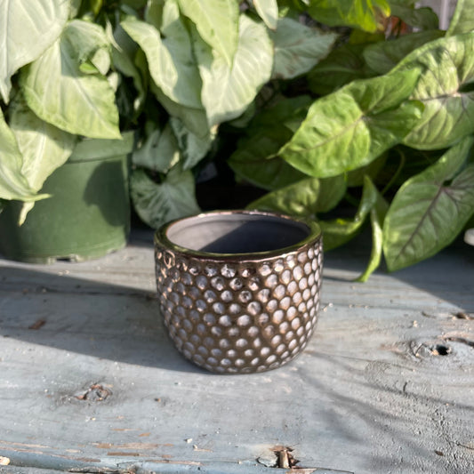 Bronze Dimple Pot