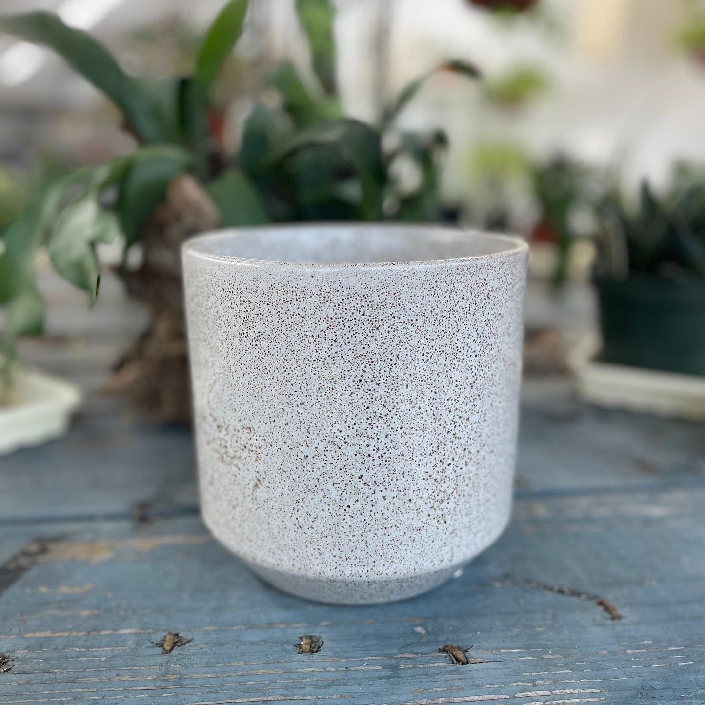 Stipple Stoneware Pot