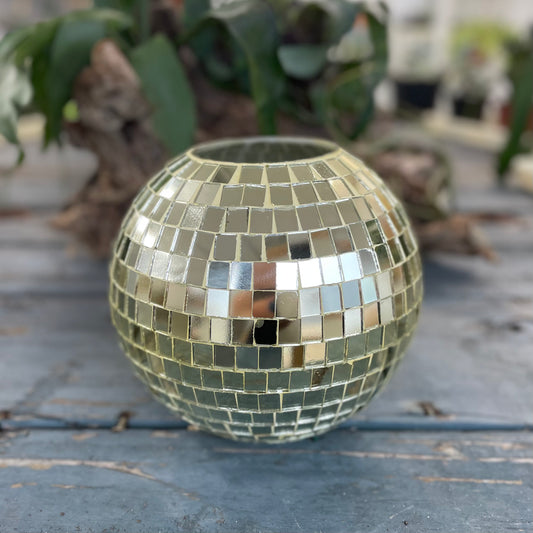 Disco Pot