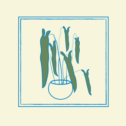 Philodendron Spiritus Sancti T-Shirt