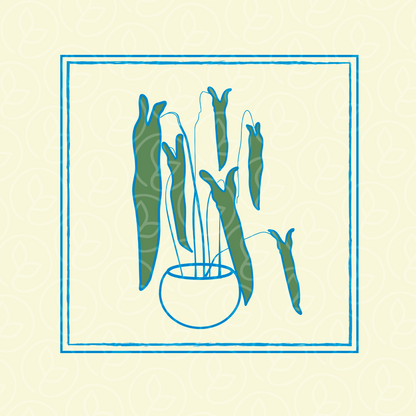 PlantPeople Spiritus Sancti T-Shirt