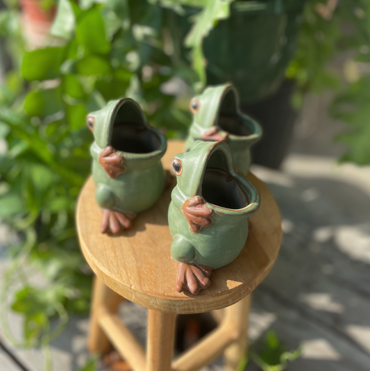 Mr. Frog Planter