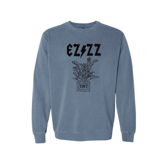 PlantPeople EZ/ZZ Band Sweatshirt
