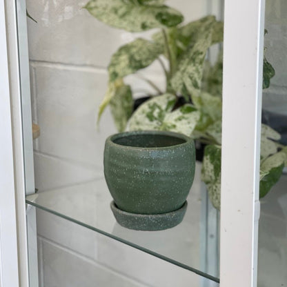 Bradford Pot w/ Saucer