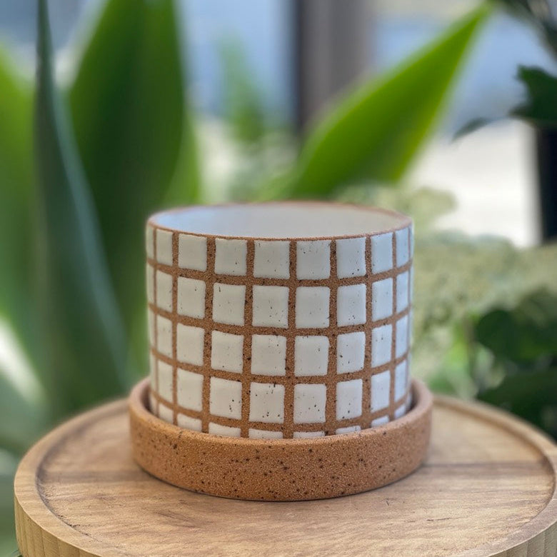 Gridline Pot with Saucer