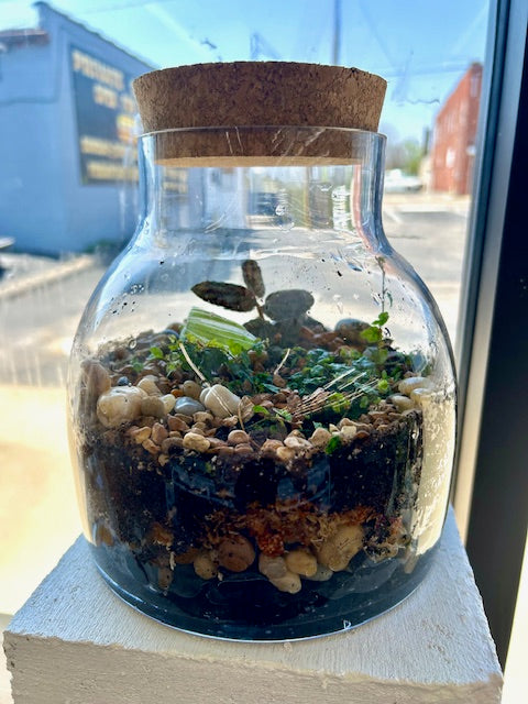 Custom Terrarium