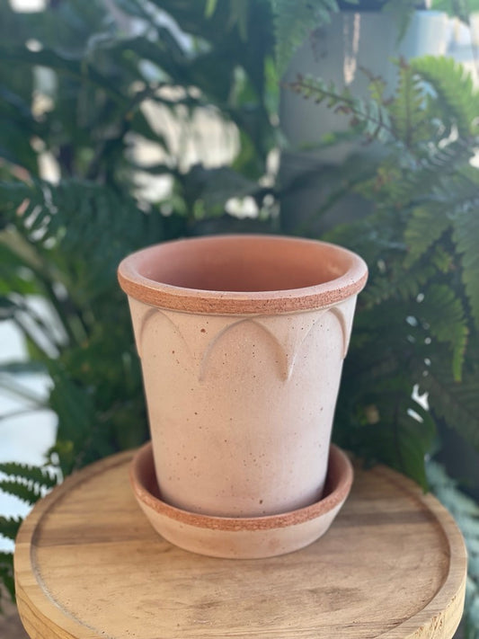 Bergs Elizabeth Pot w/ Saucer
