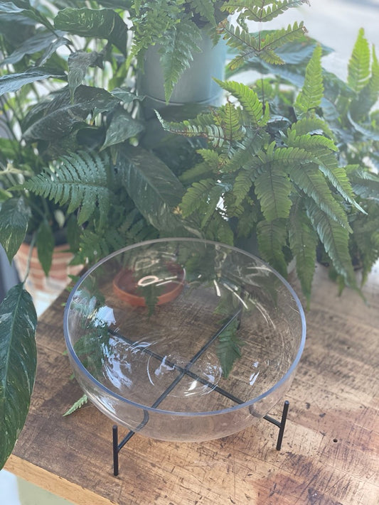 Central Bowl w/ Stand Small