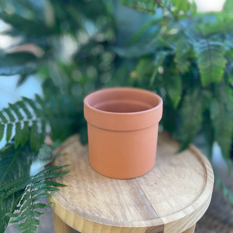 Cylinder Terracotta Pot