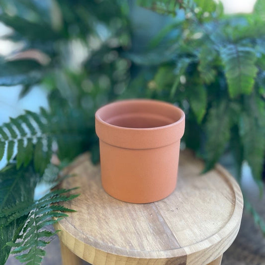 Cylinder Terracotta Pot