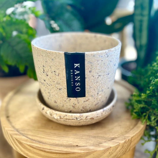 Kanso Coffee Bean planter