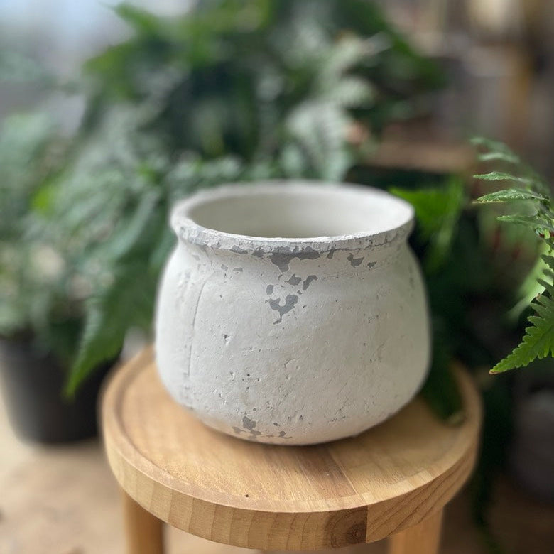 Shabby Pot