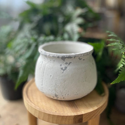Shabby Pot