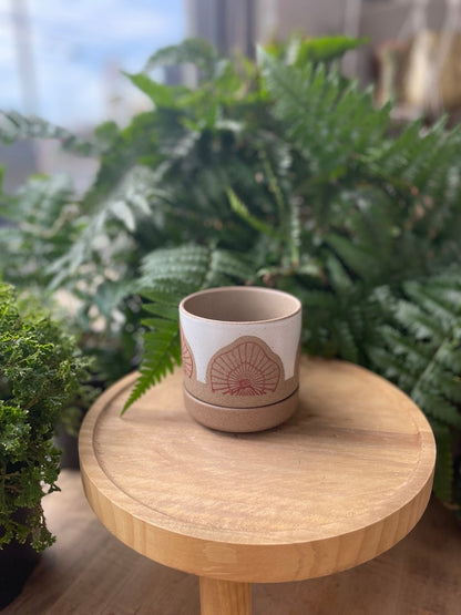 Protea Pot w/ Saucer