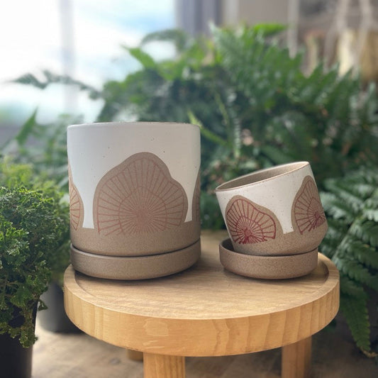 Protea Pot w/ Saucer