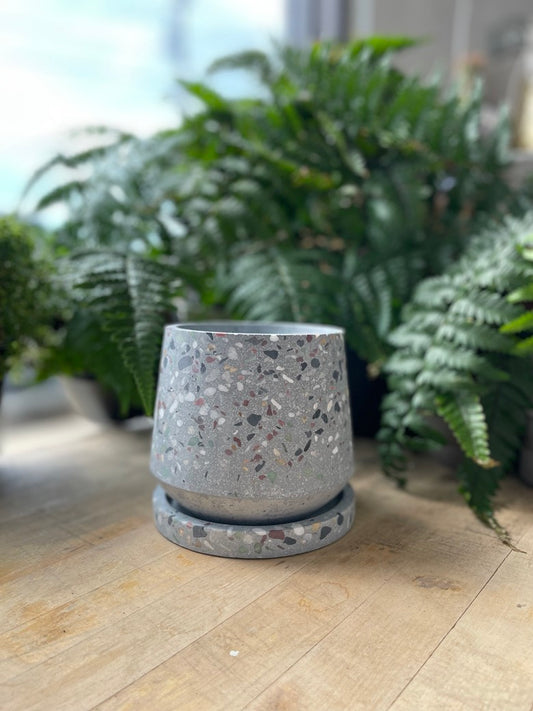 Heather Pots