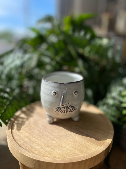 Mr. Clay pot