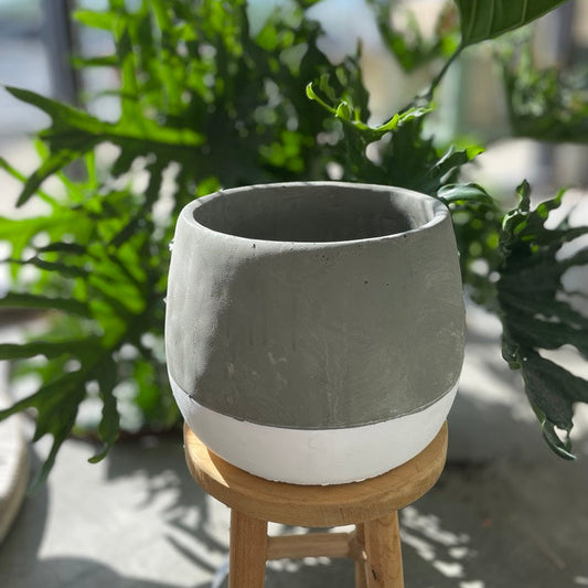 Ash Pot