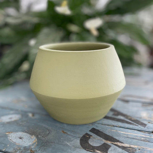 Hydra Pot