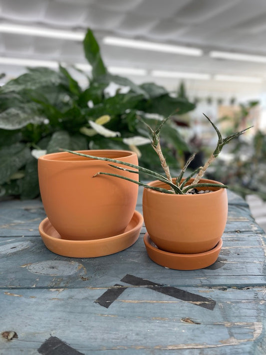 Baden Pot Terracotta