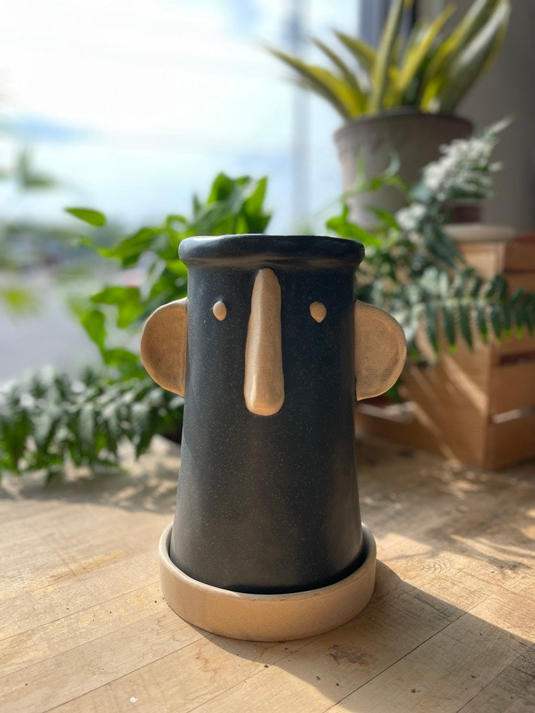 Stoneware Face Planter w/ Saucer