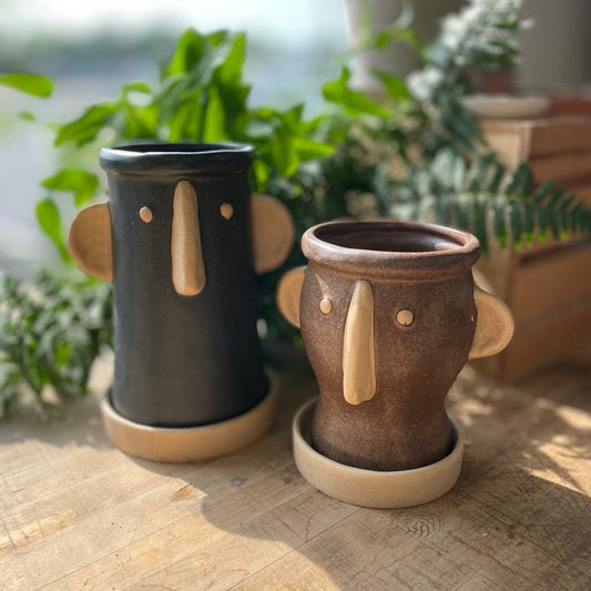 Stoneware Face Planter w/ Saucer