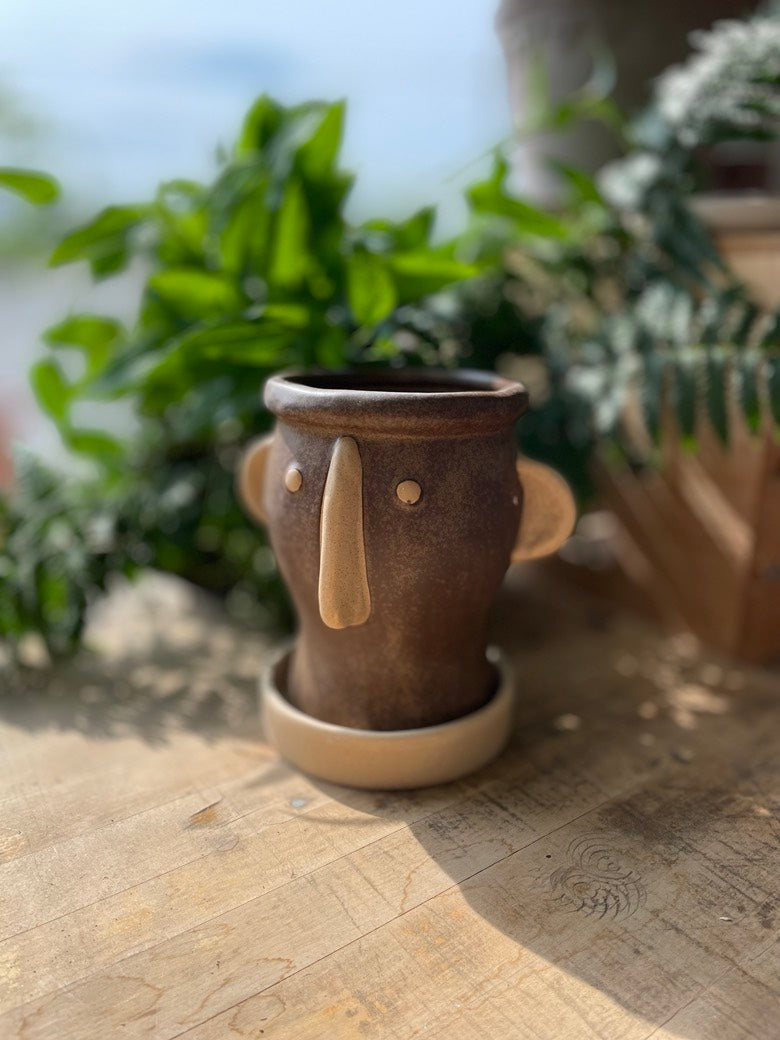 Stoneware Face Planter w/ Saucer