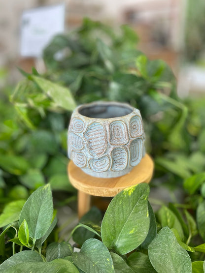 The Circa Pot