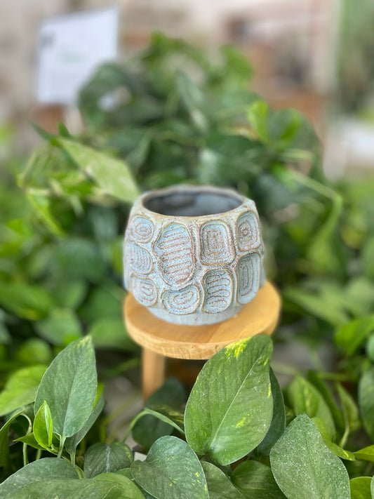 The Circa Pot