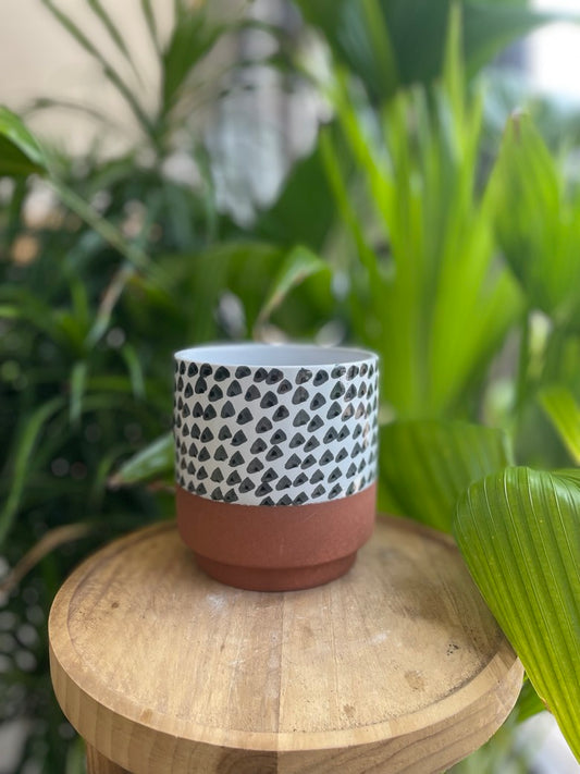Lassen Pot