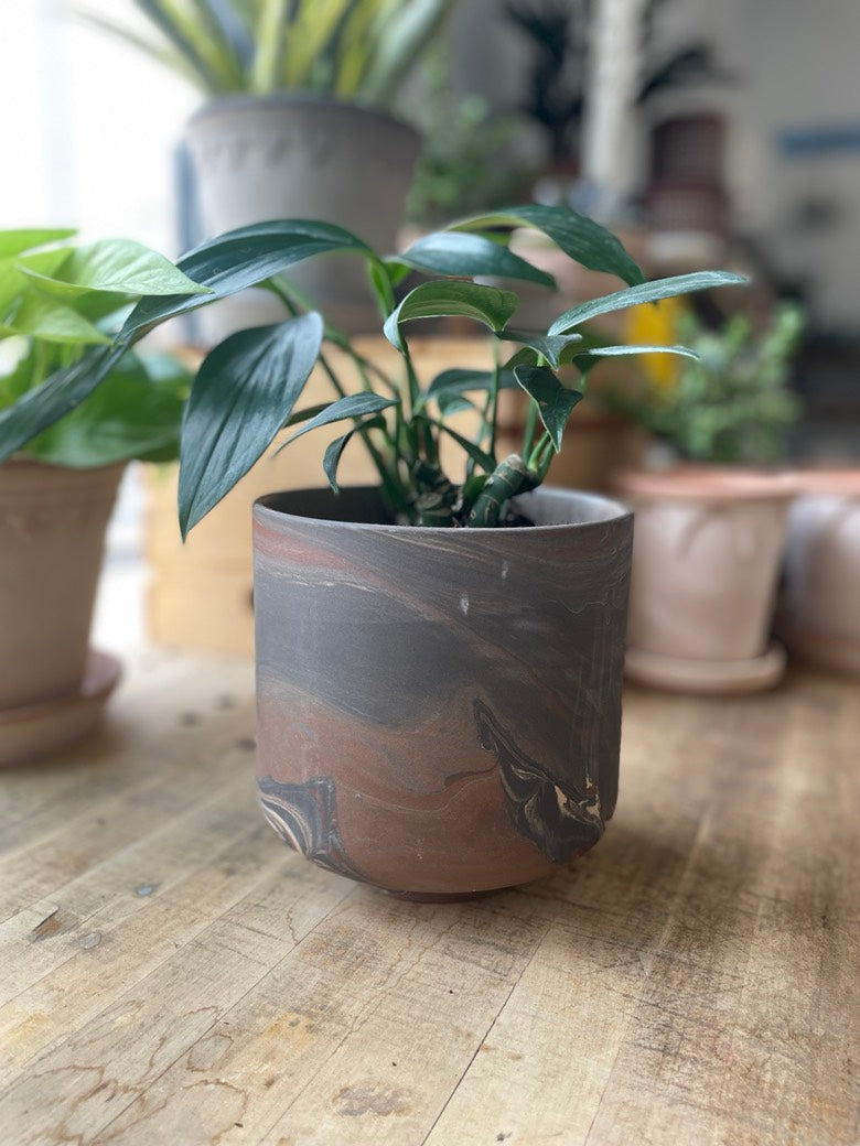 Tedros Pot