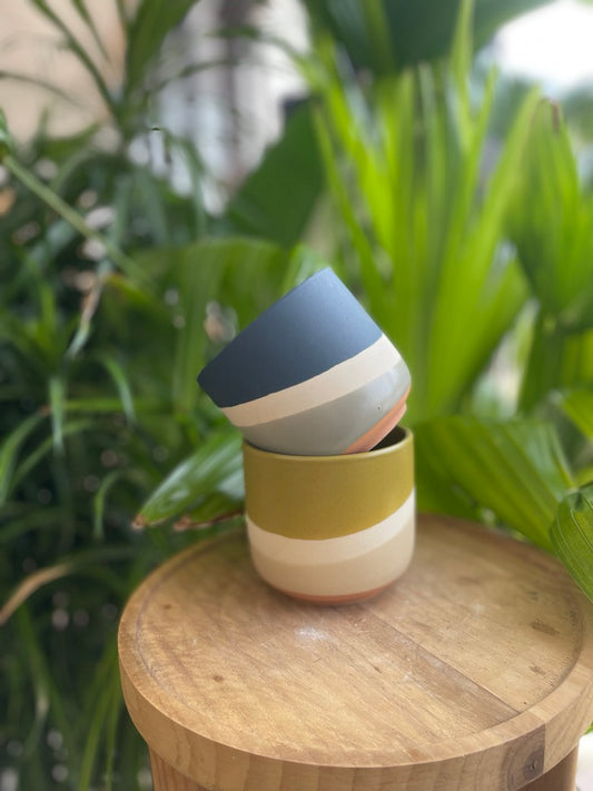 Colorway Pot