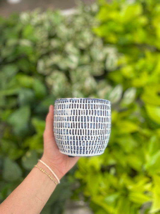 Jupiter Pot