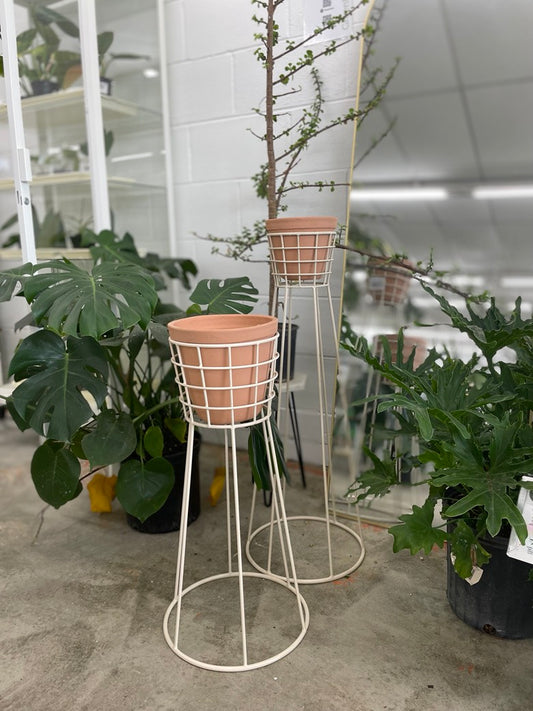 Mulholland Pot