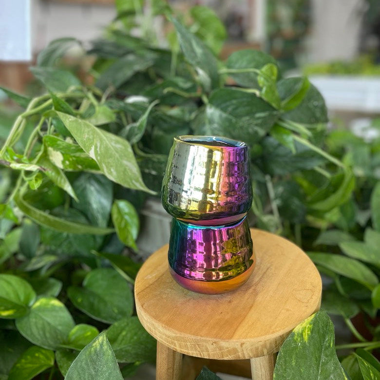 Tegan Pot