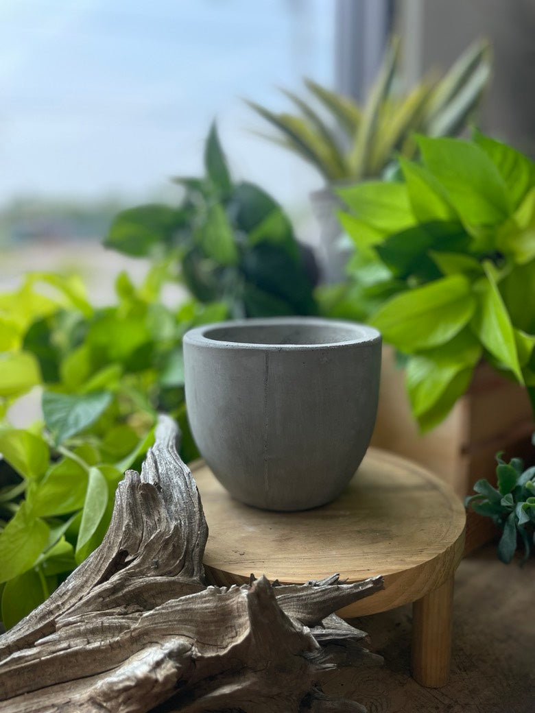 Newport Pot