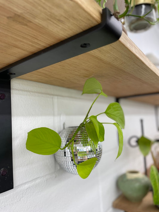 Disco Ball Wall Planter